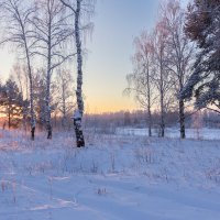 Разгорается. :: Андрей Дурапов