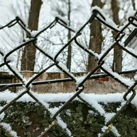 Снег на решетке :: Михаил Столяров