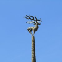 Неуважительное отношение голубей к Солнечному Оленю :: Galaelina ***