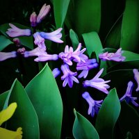 ВЕСЕННИЕ ЗАРИСОВКИ-2 :: Елена Куприянова 