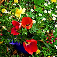 ВЕСЕННИЕ ЗАРИСОВКИ-5 :: Елена Куприянова 