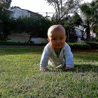 ОБЩЕНИЕ   С   ПРИРОДОЙ :: Анатолий Малобродский