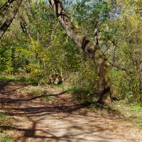 Кузьминский парк :: Игорь Белоногов Кузьминский парк :: Игорь Белоногов