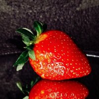 Ягода :: светлана льдокова Ягода :: светлана льдокова