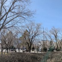 Апрель :: Андрей Хлопонин