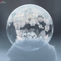 шарик :: Андрей Пристяжнюк шарик :: Андрей Пристяжнюк