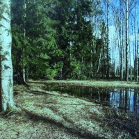 В лесу :: Людмила Смородинская В лесу :: Людмила Смородинская