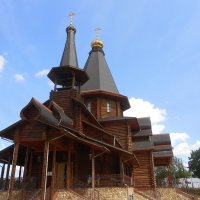 *** :: Ирина Олехнович