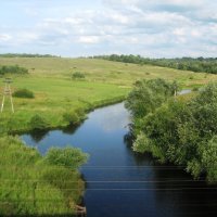 д.Белошкино, вид с моста на пастбище :: Артем 