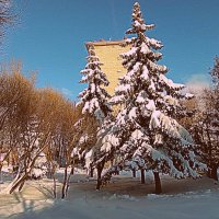 Зима. :: Владимир Драгунский