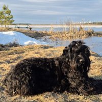 Стоп кадр :: Надежда Шубина