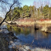 весенние зарисовки :: ИННА ПОРОХОВА