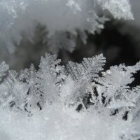 Подморозило :: Anna Ivanova