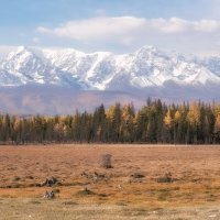 Осенний рассвет :: Марина Фомина.