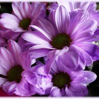 Подарок :: marmorozov Морозова