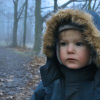 Дождливым осенним днём :: Valziwa 