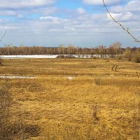 Всё по плану,первые проталины на реке Чулым,весне быть :: Владимир Кириченко Всё по плану,первые проталины на реке Чулым,весне быть :: Владимир Кириченко