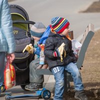 Проголодались :: Валерий Иванович