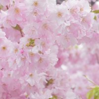 лейпциг2026 :: Алексей Короткевич