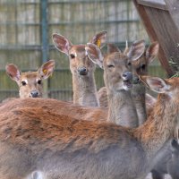 лейпциг2026 :: Алексей Короткевич