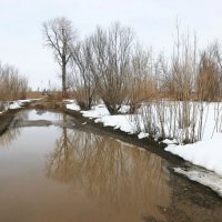 Апрель...Распутица! :: Владимир 