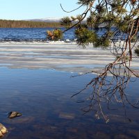 Пинозеро :: Ольга 