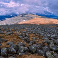 Курумы 2. :: Юрий кот Курумы 2. :: Юрий кот