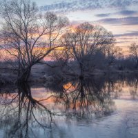 **** :: Елизавета .