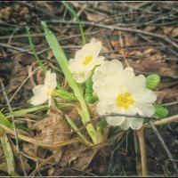 * * * :: Руслан 