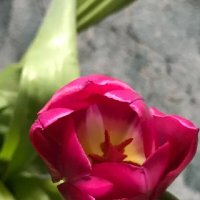 Весна.... :: Татьяна Юрасова Весна.... :: Татьяна Юрасова