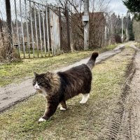 Гордый дачный житель! :: Любовь 