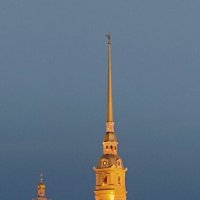 "Золотая" Петропавловка. :: Лилия *