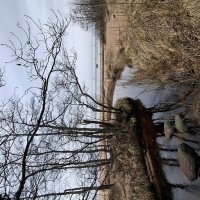 Весна :: Хватова Марина 