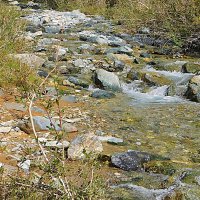 Янтерек :: Владимир Кириченко