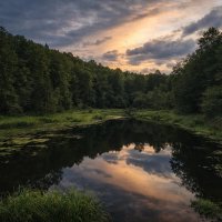 Река Нерль :: Денис Бочкарёв