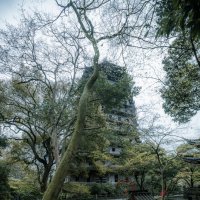 Пагода шести гармоний в Ханчжоу :: Дмитрий