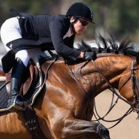 Конный спорт :: СЕРГЕЙ ФИЛОЧКИН