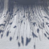 Весна :: Anna Ivanova