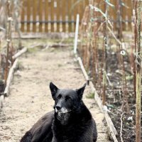 Главный охранник! :: Любовь 