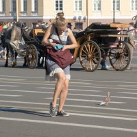 ДВЕ ГОЛУБКИ :: Виктор Никитенко