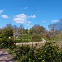 Весенний  пейзаж :: Валентин Семчишин