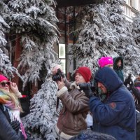 Мимо фотографов я спокойно не пройду... :: svk *