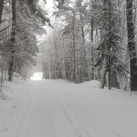 Зимняя дорога. :: delete (id213252) 