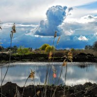 Апрель. :: Владимир 