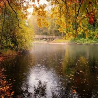 Дождь в парке :: Лилия 