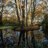 В парке... :: Николай Гирш