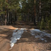 *** :: Наталья Покацкая