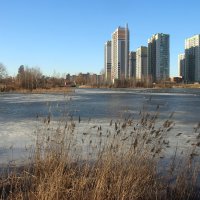 Март :: Наталья Герасимова