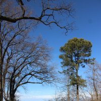 Парк Александрия :: Наталья Герасимова