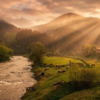 Соавторство с ИИ :: Роман Савоцкий